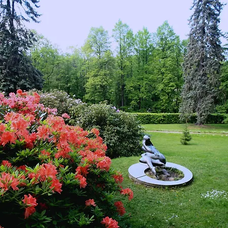 Hotel Spa Resort Libverda - Villa Friedland Lazne Libverda