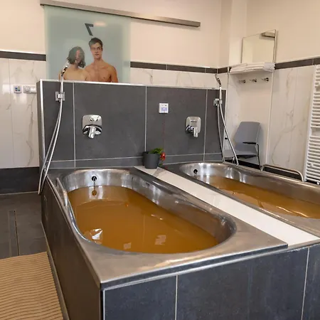 Spa Resort Libverda - Villa Friedland Hotel 4*