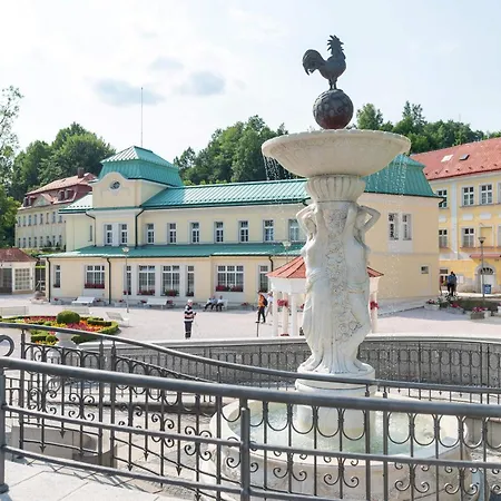 Spa Resort Libverda - Villa Friedland Hotel Lazne Libverda