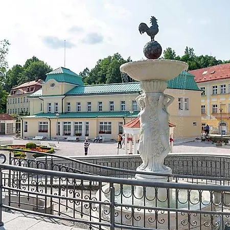 Hotell Libverda - Friedland 4*