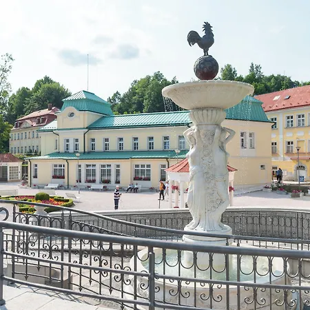 Hotel Spa Resort Libverda - Villa Friedland Lazne Libverda