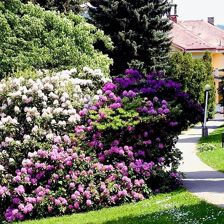 Spa Resort Libverda - Villa Friedland Hotel