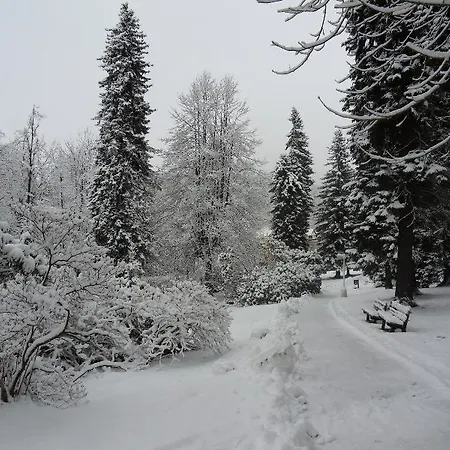 Hotel Spa Resort Libverda - Villa Friedland