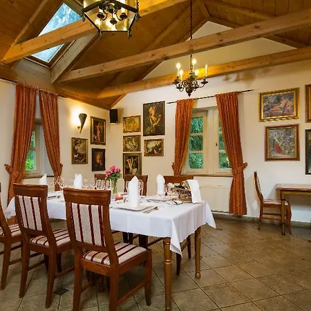 Hotel Spa Resort Libverda - Villa Friedland