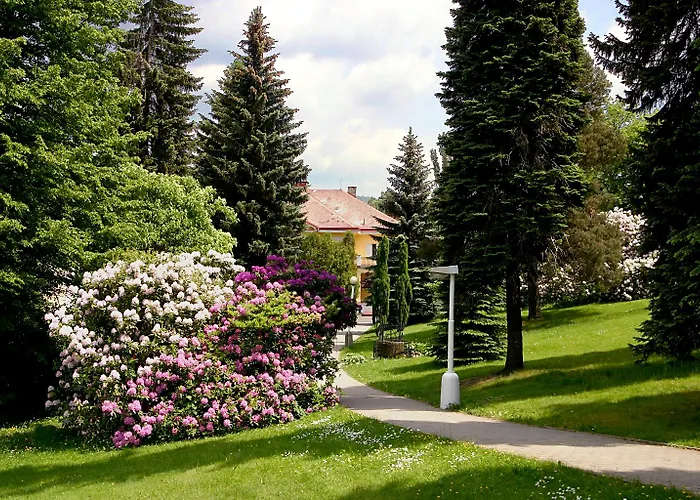 Libverda - Friedland
