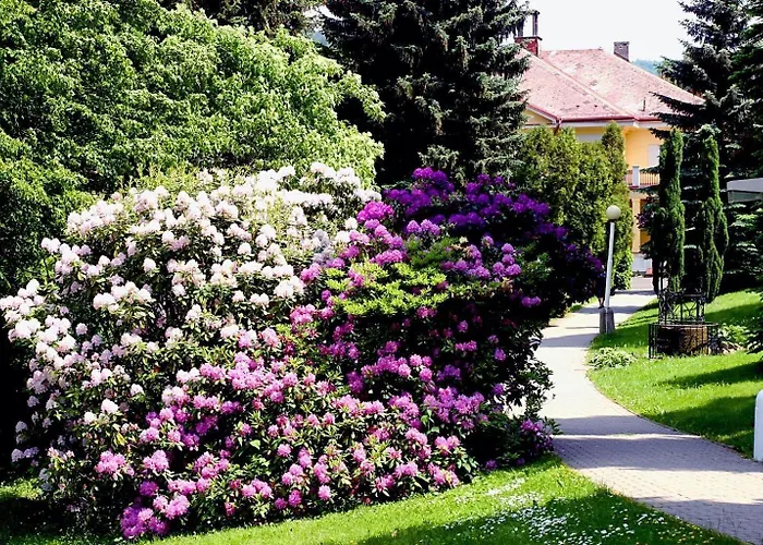 Libverda - Friedland Hotel